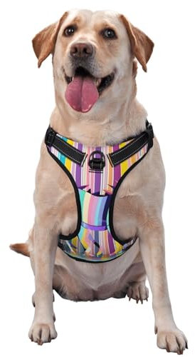 Hundegeschirr mit Einhörnern auf bunten Streifen, mittlere Größe, für Outdoor-Reisen, Spaziergänge mit dem Hund