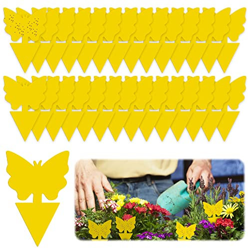 lohey 48 Pack Fruit Fly Trap, Yellow Fly Catcher Fungus Gnat Killer, Double-Sided Sticky Fly Trap for Houseplant Indoor and Outdoor Plants