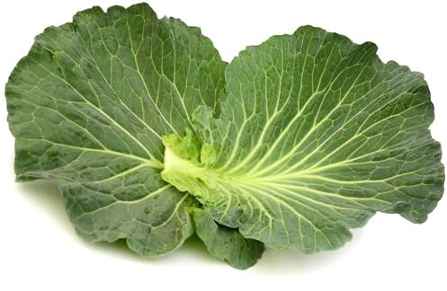 Cabbage Plants - 'Spring Greens' - 6 x Plug Plant Pack - Garden Ready - Ready to Plant - Premium Quality Vegetable Plants