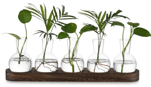 Hewory Propagation Station Propagators for Plants: Desktop Glass Terrarium Bulb Vase Gifts for Plant Lovers - Small Glass Vase Terrarium Jar With Wood Tray for Houseplants Cuttings Windowsill, 5pcs