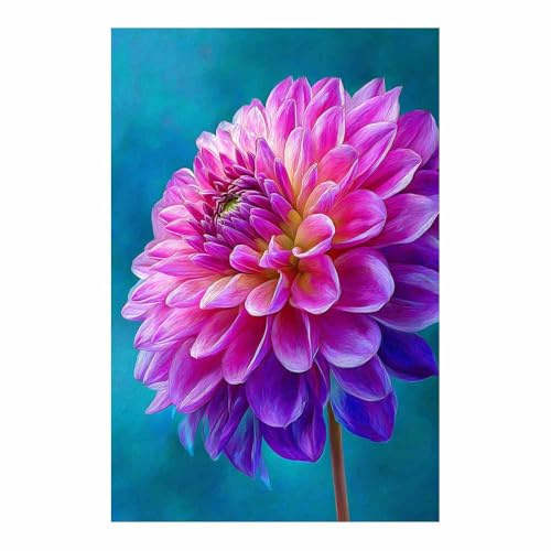 ZAMAEIU Bild Blumen Dahlien bilder natur, leinwandbilder, Für Bauernhaus, Büro, Galerie, Küche.(rosa138)-50x70cm Ungerahmt