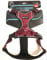 Petlando Outdoor-Brustgeschirr mit Reflektorstreifen Berry M (Brustumfang 56-68 cm)