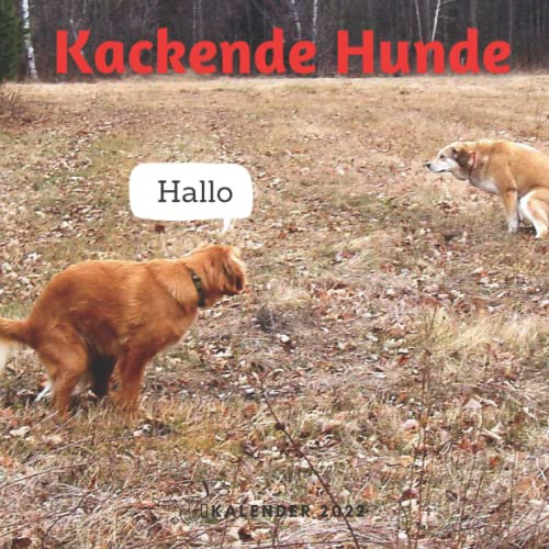 Kackende Tiere Kalender 2022: Lustige Kalender 2022 für Erwachsene - 8.5x8.5 inches - Geschenke für Familie und Freunde - Tiere Lustig