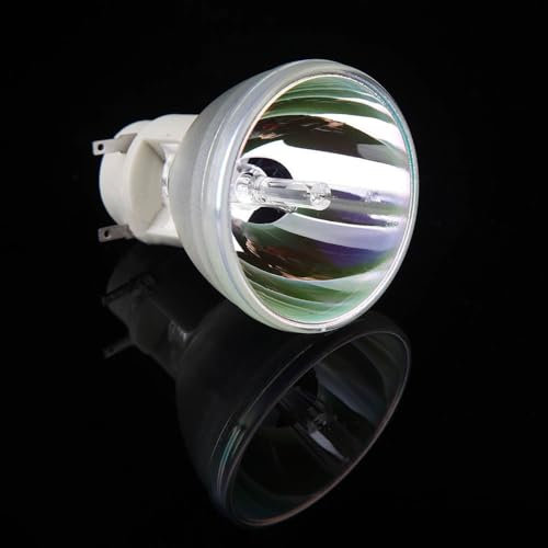 Lampe de projecteur Compatible 5J.J9H05.001 for BE-NQ HT1075 HT1085ST Li700 i701JD W1070 + W1070 + W W108ST, ampoule avec boîtier de remplacement (Color : 5J.J9H05.001-CB)