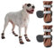 Spark Paws Wasserabweisende Hundeschuhe für mittelgroße und große Hunde, rutschfeste reflektierende Hundestiefel für Regen, Schnee, Wandern, 4er-Set - Brown, D