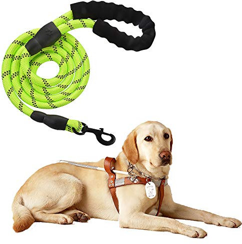 Führleine für Hunde Nylon Verstellbar Solid Black Hochwertige reflektierende 150cm für große oder mittlere Hunde Geeignet zum Laufen Joggen Wandern (Grün)