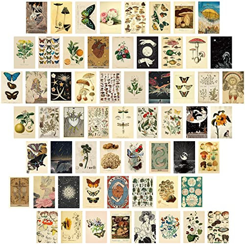 Gersoniel Postkarten-Set, Vintage-Kollektion, Retro-Stil, botanischer Schmetterling, Pilz, Natur und Ephemera-Postkarten für DIY-Kartenpapier, 60 Stück