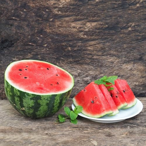 20 Pcs Wassermelone Samen Bio, Winterharte Kübelpflanzen, Obstbäume Kaufen (Citrullus Lanatus) Kälteschutz Für Pflanzen, Säulenobstbäume Gewächshaus Balkon Bio Saatgut, Exotische Samen