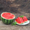 20 Pcs Wassermelone Samen Bio, Winterharte Kübelpflanzen, Obstbäume Kaufen (Citrullus Lanatus) Kälteschutz Für Pflanzen, Säulenobstbäume Gewächshaus Balkon Bio Saatgut, Exotische Samen