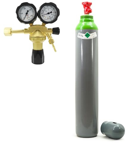 Argon Bouteille de gaz de protection Argon 10 l Mix Ar/CO2 avec réducteur de pression Argon – Bouteille de gaz de protection remplie 200 bar + réducteur de pression Ar/CO2 type GCE 24 l/min