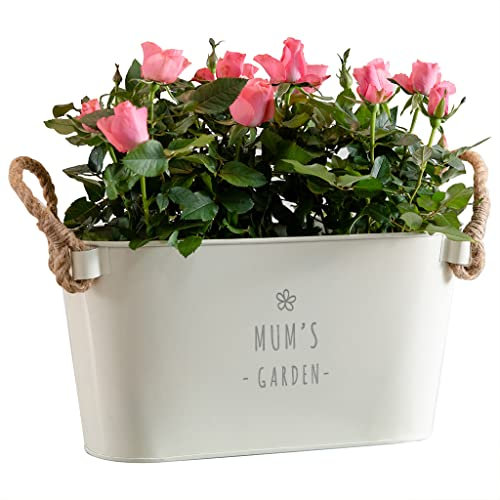 Garden Planters Outdoor and Indoor - Engraved Mum's Garden Long Plant Pots Outdoor | Mum, Dad, Anniversary, Grandad and Nan Gifts for Birthday Garden Pots and Planters | Dust and Things