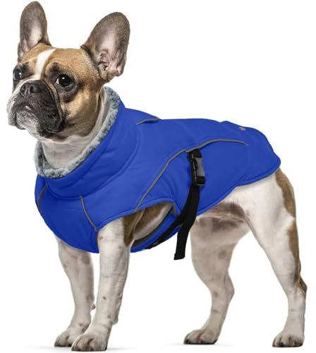 Hundemantel Winter Kleine Hunde, wasserdichte Welpen Warme Jacke Weste Reflektierende Hundejacke Fleece Gefüttert Wintermantel Fleecekragen Winter Hundekleidung Hundemantel Chihuahua Winter(Blau, S)