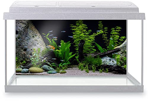 DV DESIGN Aquarium Fish Tank Background 60x30 cm - Beautiful Freshwater Plants Stones Marine Sea Blue Underworld Static Cling Vinyl Vivarium Terrarium External Application #500015