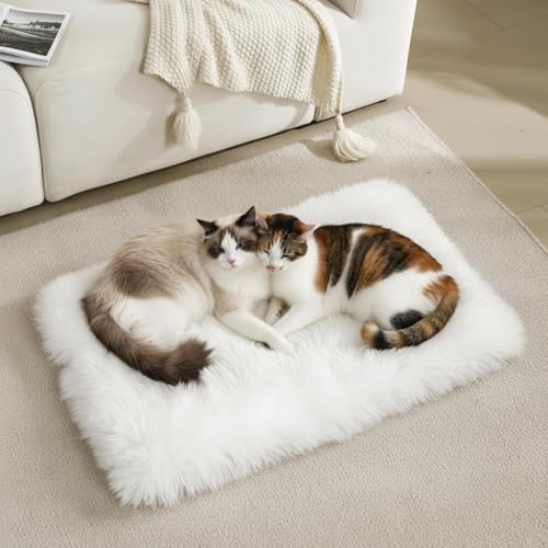 Fluffy Cat Bed Mat 19.6x31.4 Furry Small Dog Cats Cushions for Indoor
