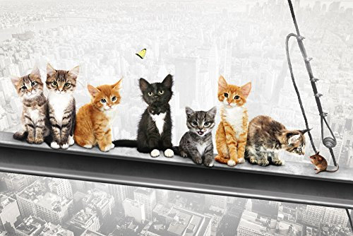 Katzen auf Stahlträger- New York Kittens - Spaß Städte Poster Plakat Druck - Grösse 91,5x61 cm