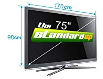 TV Protector Standard Anti UV TV Screen Protector (75)