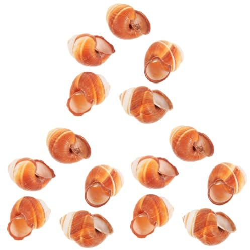 CIYODO 15 Pièces Coquilles D'Escargot Françaises Coquilles De Crabe Coquilles D'Escargot Vides Coquilles D'Escargot De Style Français Coquilles De Cuisson D'Escargot Coquilles D'Escargot