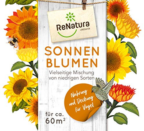 Greenfield ReNatura Sonnenblumen Blumen Samen 0,3kg für ca. 60 m²