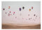 TADESSI Leinwandbild Fahrzeuge M1-No.50273 | Wandbild Ballons Blau Türkis | Keilrahmen Himmel | 71 x 51 cm