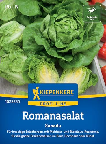 Kiepenkerl Profi-Line Romanasalatsamen Xanadu 1022250 - Knackige Salatherzen, schmackhafte Gemüsesamen für Freiland, schossfest & hitzebeständig