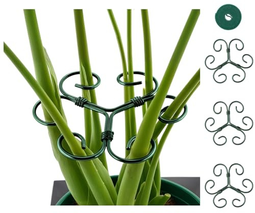 DHGKVK 4X Pflanzenstütze,1,0m Klettband zur flexiblen Befestigung.pflanzenhalter für Blumen, Rosen, Tomaten - Monstera Rankhilfe und Pflanzenhalter aus Metall,Stauden und Hortensien. (Grün)