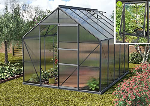 Vitavia Meridian 1 9900 HKP 6 mm, anthrazit Gewächshaus 2 Dachfenster 1 Seitenfenster