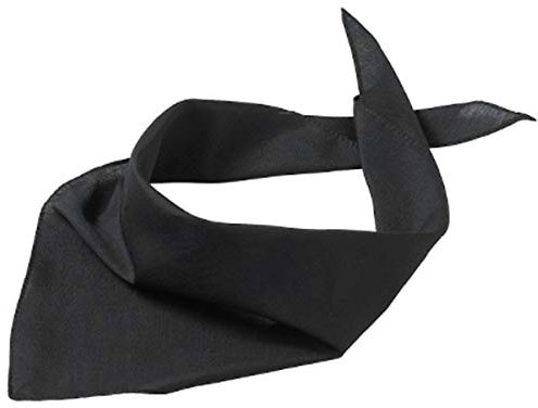 Druckecke Hundehalstuch mit Pfoten und Wunschname Bestickt | 18 Farben (Schwarz)
