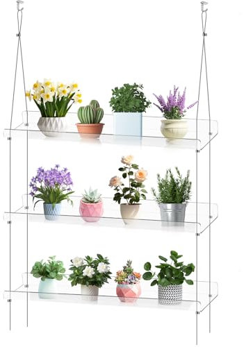 Storystore 3-stöckiges Acryl-Fenster-Pflanzenregal – 40,6 cm transparentes Hängepflanzenregal, höhenverstellbarer Pflanzenständer für Kräuterpflanzer, Sämling-Organisation, Sukkulenten und