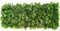 Artificial Maple Leaf Willow Extendable Trellis Plastic Hedge Garden Fence Screening Privacy 2m x 1m
