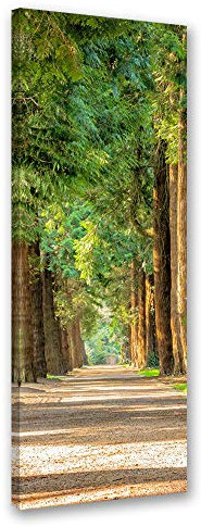 Feeby Bild auf Leinwand Landschaft Kunstdruck modern Natur Grün 30x90 cm