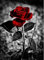 5D Diamond Painting Rose, Vollständiges Diamant Painting Bilder für Erwachsene, Rundes Diamant Malset, Strasskunst DIY Bilder, Diamant Gemälde, Kunsthandwerk für Zuhause Wand Dekor 30x40cm