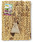 JR FARM Cat Bavarian Catnip Tapis d'herbe à Chat
