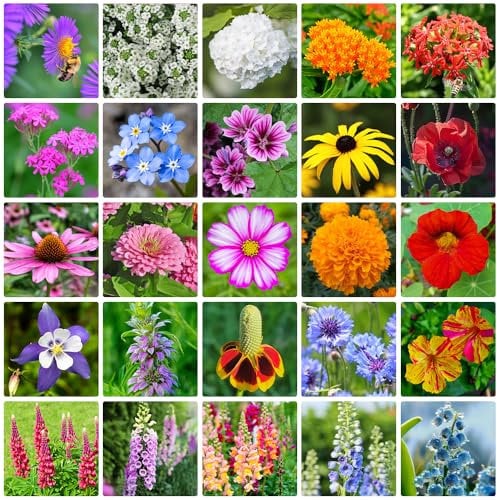 Mix Blumen Samen Set, Wildblumensamen Mehrjährig Winterhart, für Den Garten oder Balkon, Die Bienenweide und Wildblumenwiese Blumenwiese Samen