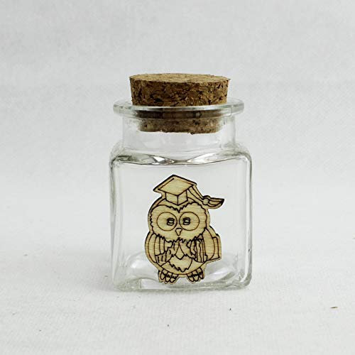 DLM-27018 (Kit 48 Pezzi) Barattolo in Vetro con Gufo Gufetto Laurea in Legno Porta Confetti Spezie bomboniera