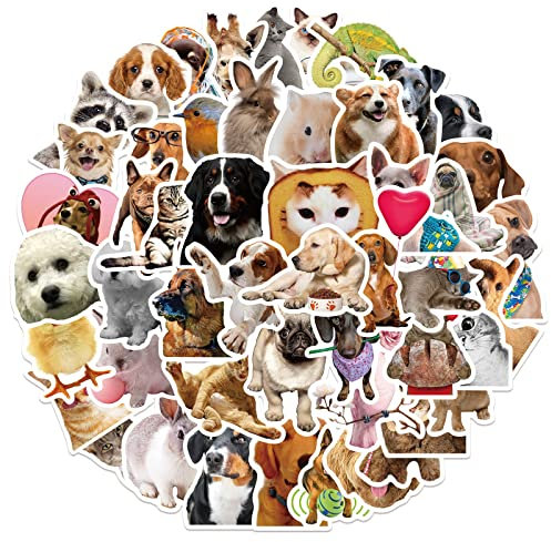 Lustige Tiere Sticker Set Aufkleber Kinder Teenager 50 Stück Tiere Wasserfeste Vinyl Decals Laptop Skateboard Koffer Helm Auto Fahrrad Handy Motorrad Fahrrad Scrapbook Mitgebsel Tagebuch Tassen