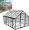 LZQ Serre de jardin en aluminium avec fondation 340 x 180 x 195 cm - Serre avec porte coulissante et fenêtre de toit - Résistant à l'hiver - Pour l'élevage de tomates