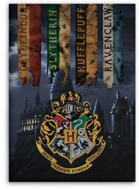 AYMAX S.P.R.L Harry Potter Kids Blanket Polar Fleece - Hufflepuff - Multicolor - 100x140 cm