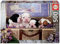 Educa 19007, Welpen im Koffer, 500 Teile Puzzle für Erwachsene und Kinder ab 10 Jahren, Französische Bulldogge, Tierpuzzle