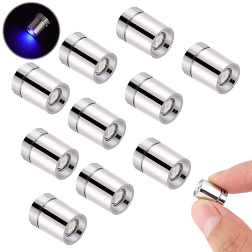 10 stück LED Minilichter, Mini LED Lichter für Puppenhaus Silberner Kunststoff Batterie Inklusive Mini-Elektrolichter für Partydekoration Basteln Puppenhauszubehör (Blaues Licht)