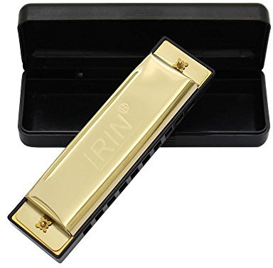 10 Löcher Harmonika, Leichtmetall Harmonika Musikinstrumente mit Etui für Anfänger Kinder(Gold)