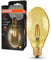OSRAM Vintage 1906 Classic Oval FIL LED-Lampe, E27, ovale Form, gold, 4W, 400lm, 2400K, warmweiße Komfortlichtfarbe, sehr geringer Energieverbrauch, lange Lebensdauer