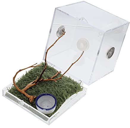 Happyyami Spinnenwürfel 3 Sets Springspinnen Zuchtbox Insektenhaus Zuchtträger Spinnenhaus Spinnenbehälter Spinnengehege Zubehör Spinnenlebensraum Insektenlebensraum Spinnenkäfig