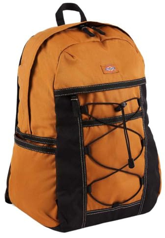 Dickies ASHVILLE BACKPACK