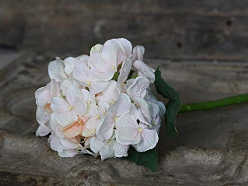 Kunst-Hortensie Kunstblume Deko Blume apricot Rose H 50 cm Shabby Chic Vintage Landhaus