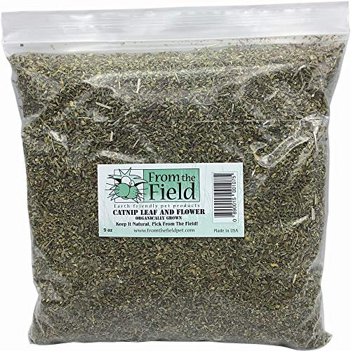 From The Field | 9 oz Catnip Leaf and Flower Bulk Bag | Organic, USA-Grown, High Potency Catnip for Cats & Kittens | Resealable, Long-Lasting, Natural Cat Treat for Play & Exercise