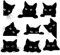 Outdoor Stoff mit schwarzen Katzen,Meterware,süßes Kätzchen Katzenliebhaber Polsterstoff für Stühle,hübsche schwarze Katzen Haustier Dekorationsstoff für Heimwerkerprojekte,92x160cm,schwarz weiß