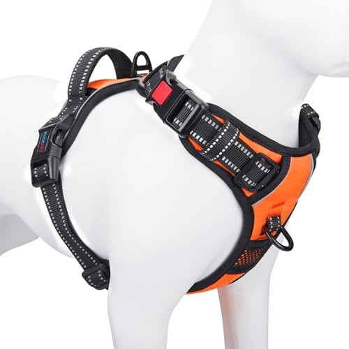 PHOEPET Hundegeschirr ohne Zug für kleine Hunde Reflektierende Weste mit verstellbarem Clip vorne mit Griff 2 Metallringe 3 Schnallen [Einfach an- und auszuziehen] (XL, Orange)