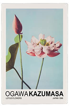artboxONE Metall-Poster 20x30 cm Natur Lotusblumen - Ogawa Kazumasa von Künstler Nook Vintage Archive