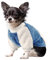 NAMSAN Hundepullover für Kleine Hunde Winter Hundepullover mit Taschendesign Warm Fleece Hundepulli für Kleine Hunde/Welpe-Blau, S