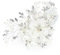 HONEY BEAR Damen Brautschmuck Blume Haarkämme Haar Klammern für Hochzeit, Kristall Strass mit Simulierte Perlen Haarschmuck,MEHRWEG (weiß)